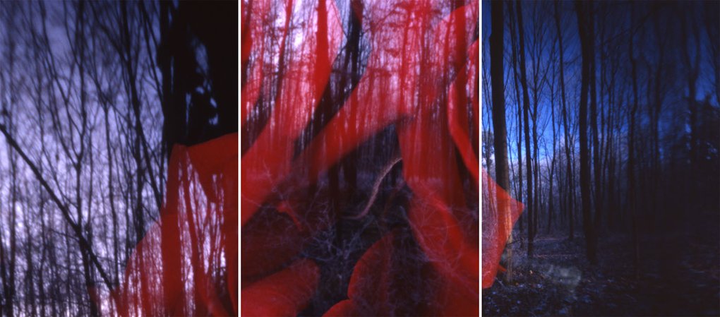 01_Boettcher_Heke_1_Movement Near Blackwood CastleÔÇ£, 2008.jpg