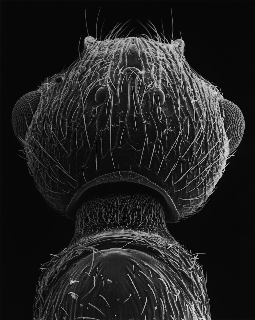 05_Fährenkemper_Imago 43-02-3 .jpg