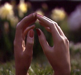 Du bist ein verschlossener Garten.jpg