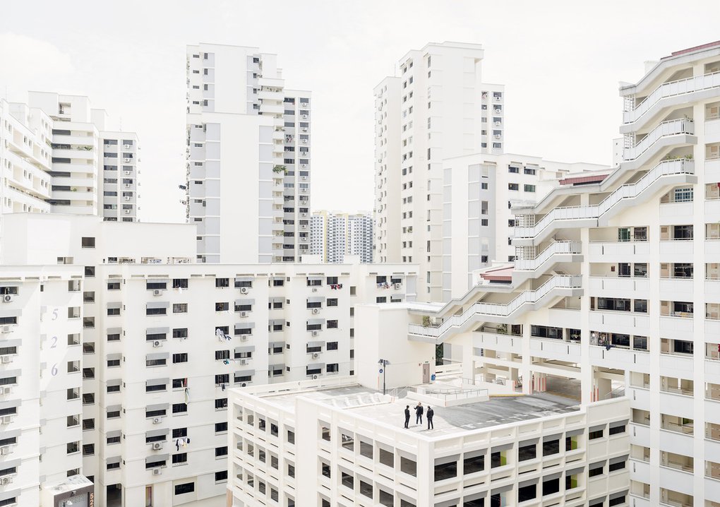 bellwinkel_interventions01